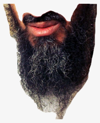 Load 3 More Imagesgrid View - Osama Bin Laden Memes