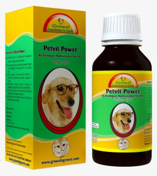 Multivitamin For Dog & Cat - Golden Retriever Dog With Glasses Birthday Greeting