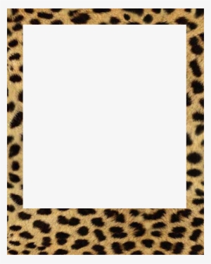 Baby Polaroid Frames Png