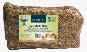 Pressed Hay Small Animals