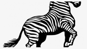 Zebra Animal Clipart Pictures Royalty Free Org Of To - Zebra Black And White Clipart