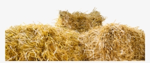 Straw Straw Bales Isolated Agriculture Har - Bale Of Hay Png