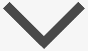 Radoslav Opacic Aia Architects Has A Well-earned Reputation - Down Arrow Black Svg