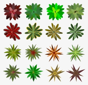 Big Image - Bromelia