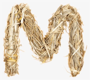 Secure Crops With Handmade Font - Networking Cables