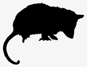 Opossum Mammal Animal Silhouette Comments - Gambá Vetor