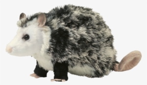Douglas Oliver Possum - Possum Plush
