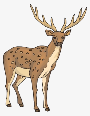 Deer With Large Antlers Svg Clip Arts 462 X 596 Px
