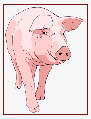 Unbelievable Ingenious Clip Art Pig Face With - Transparent Background Piglet Animated Gif