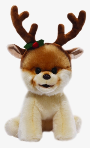 Boo The World's Cutest Dog - Gund Boo 'the World's Cutest Dog' Plush