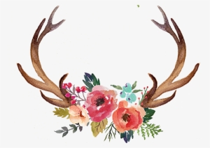 Vector Download Antler Flower Moose Clip Art Hand Painted - Deer Antlers And Flowers