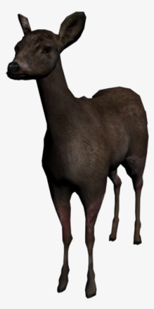 Deer - 3d Deer Png