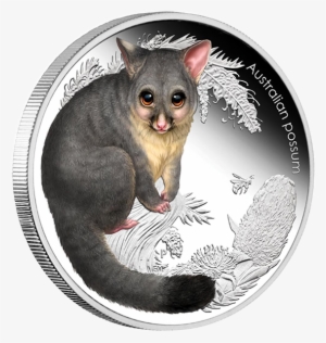 Australia 2013 50 Cents Possum Australian Bush Babies - All Possum Coins Australia