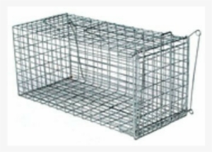 Possum Trap Wire - Cage