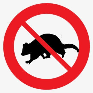 Image - Http - //pestcontrolwagga - Com - - Possum Control