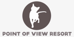 Why You Should Never Declaw Your Cat & How To Get It - Pet