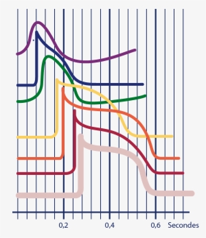 Download The Image Download The Entire Set - Diagram