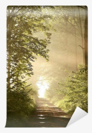 Pathways To Paradise: Meditations For The Spirit