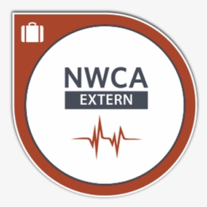 National Handwriting Association