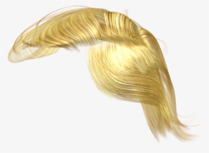 trump hair costume