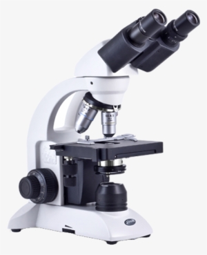 What Is Robo Vidya Science Lab - Alt Attribute