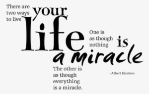 >life Is A Miracle - Live For Your Feelings