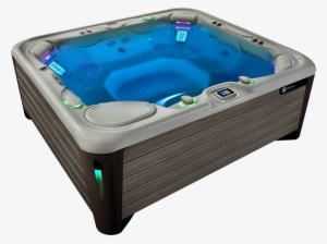 Distinction-tub - Hot Spring Ace Salt Water System