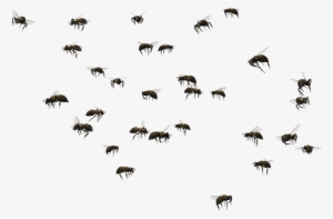 Image Black And White Download Beehive Swarming Clip - Bees Swarm Clip Art