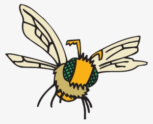 Eyes, Cartoon, Bee, Flying, Insect, Compound, Fuzzy - Flying Insect Png Cartoon