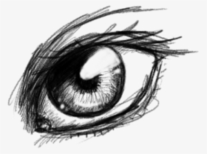 Drawn Eye Transparent - Sketch
