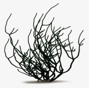 High Res Clip Art - Clip Art