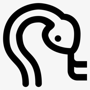 Two Squiggly Lines, Sort Of Like An S With The Bottom - Face