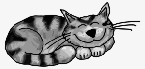 Funny Sleeping Cat Clipart Png - People Disrespect Your House