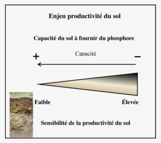 Gradient De Sensibilité Basé Sur La Capacité Du Sol - Organic Matter