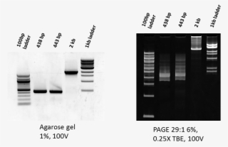 Smear On Page - Us Signal Company, L.l.c.