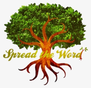 Next - Bike Spread Your Wings Shower Curtain