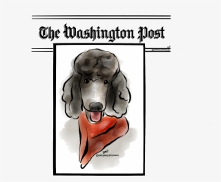 Visit - Washington Post