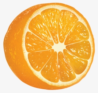 Oranges Png Image Png Photo, Clip Art, Illustrations - Orange Png