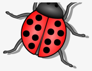 Flies Clipart Small Bug - Lady Bug