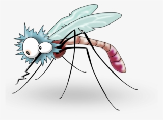 Flies Clipart Mosquito - Cartoon Mosquito Transparent Background
