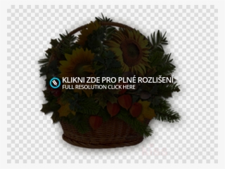 Vinyl Record Transparent Background Clipart Phonograph - Record With No Background