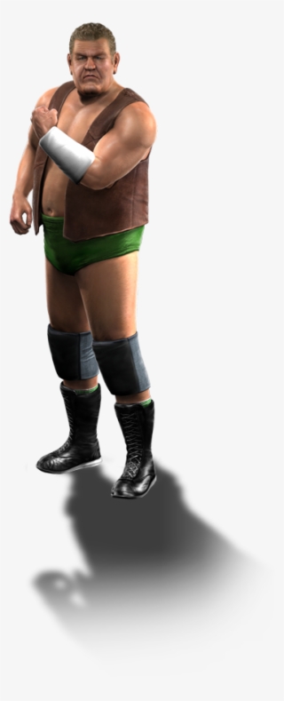 Randy Orton 2010