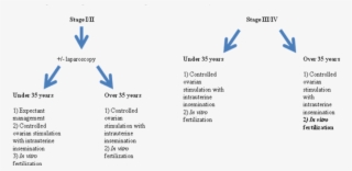 Treatment Algorithm For Infertility Associated With