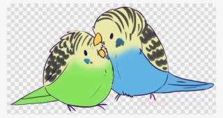 Cartoon Budgie Png Clipart Budgerigar Parrot Cockatiel - Fault In Our Stars Clipart
