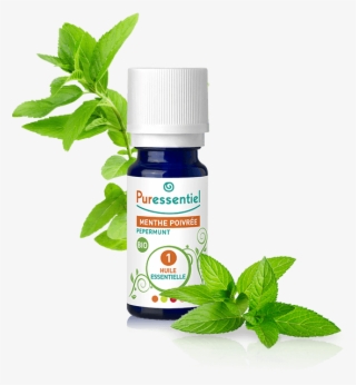 Puressentiel Essential Oil Peppermint 10ml - Puressentiel Expert Puressentiel Oil Essential Mint