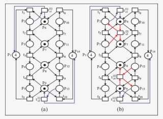 A Plant Net Coupling With A First-order Transition