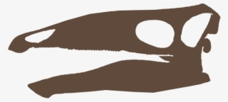 Miragaia