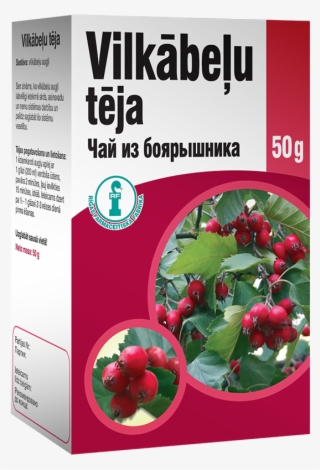 Hawthorn Tea - Hollyleaf Cherry