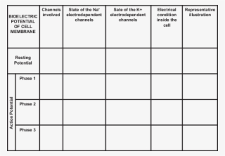 The Puzzle Board - Science