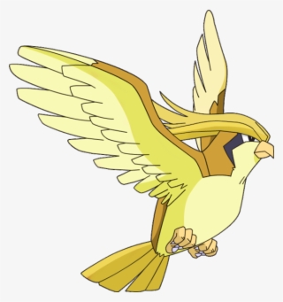 01, September 3, 2013 - Pokemon Pidgeot